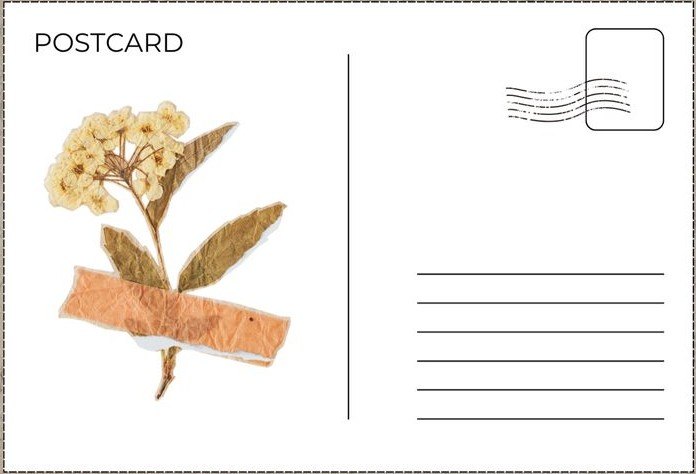 A blank hand-made postcard with a pressed flower